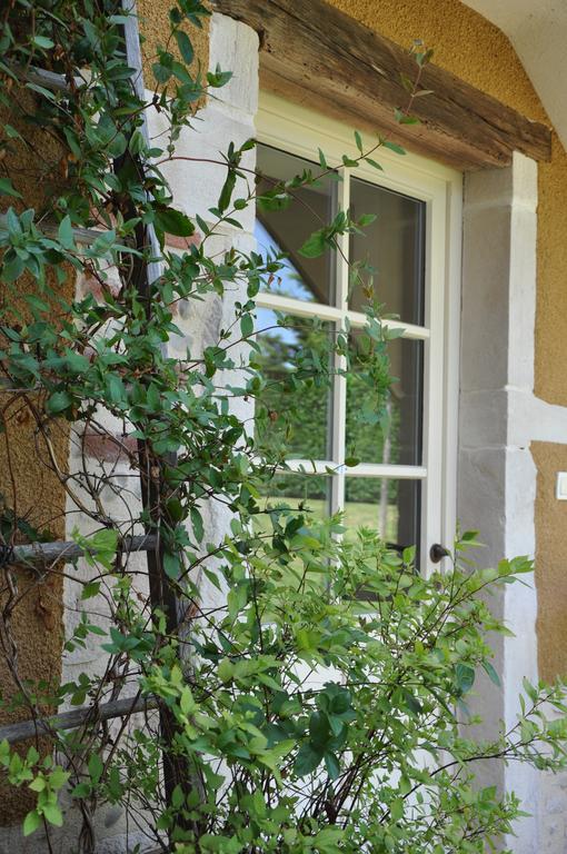 B&B La Cerisaie Francheleins Værelse billede